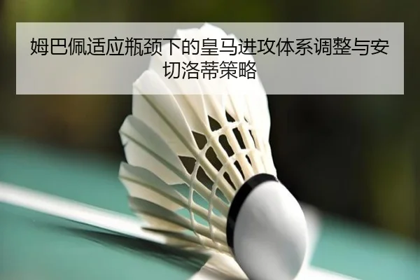 mu-ba-pei-shi-ying-ping-jing-xia-de-huang-ma-jin-gong-ti-xi-tiao-zheng-yu-an-qie-luo-di-ce-lve-2-707.jpg
