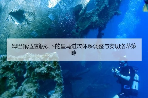 mu-ba-pei-shi-ying-ping-jing-xia-de-huang-ma-jin-gong-ti-xi-tiao-zheng-yu-an-qie-luo-di-ce-lve-3-239.jpg