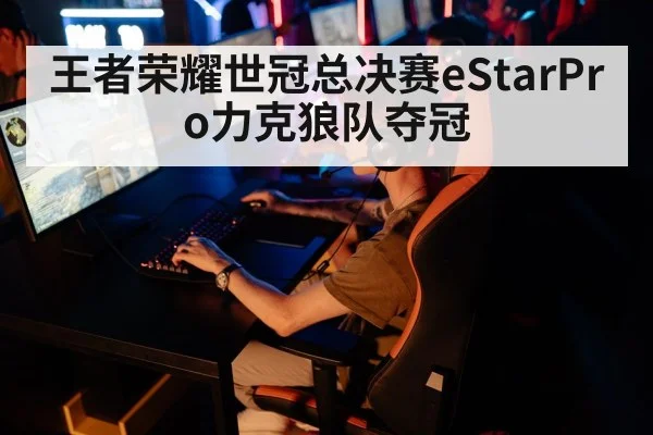 王者荣耀世冠总决赛eStarPro力克狼队夺冠