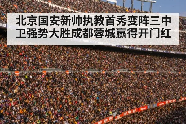 football stadium crowd